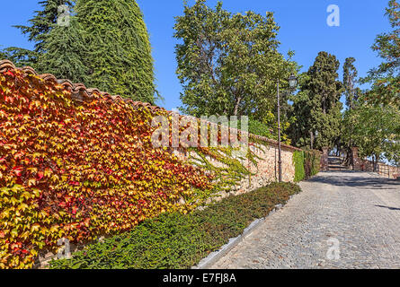 Entlang der Mauer Straße mit Kopfsteinpflaster bedeckt mit bunten Efeu in Stadt von Guarene im Piemont, Norditalien. Stockfoto