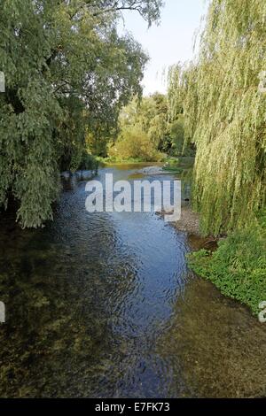 Fluss Avon Amesbury Wiltshire UK Stockfoto