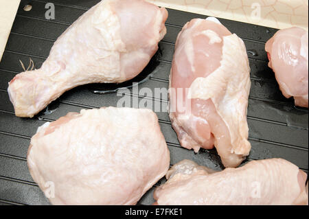 Abtauung Hähnchenschenkel & Oberschenkel auf einer Super Auftauen Tablett um den natürlichen Prozess daher bringt sie auf Raumtemperatur schneller zu beschleunigen. Stockfoto