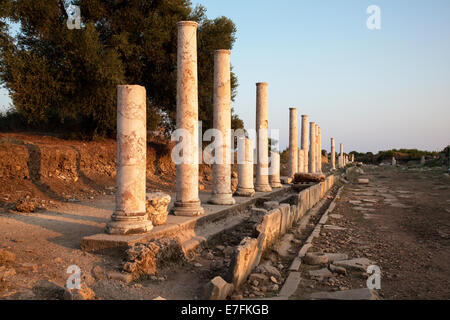 Spalten in der Nähe von monumentalen Brunnen Side Türkei Stockfoto