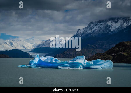 Lago Grey See in Patagonien, Chile. Stockfoto