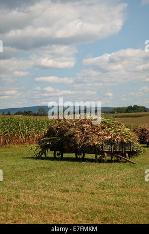 Maisstroh geerntet auf einem Bauernhof Wagen in Lancaster County, PA. Stockfoto