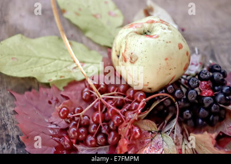 Herbst noch Leben Stockfoto