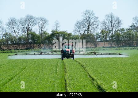 Traktor Fungizid mit Einheit auf Getreide Spritzen auftragen. Stockfoto