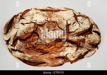 ein Laib Roggenbrot über weiß Stockfoto