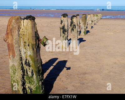 Alte hölzerne Strand Pfähle auf Whitbys Strand in der Nähe von Whitby, North Yorkshire, UK. Stockfoto