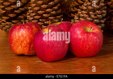 Rote Äpfel und Tannenzapfen auf Holztisch Stockfoto
