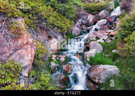 Stream mit Frühlingsschnee schmelzen Binsen aus den Flanken des Mt Lassen Volcanic Nationalpark im Norden Kaliforniens. Stockfoto