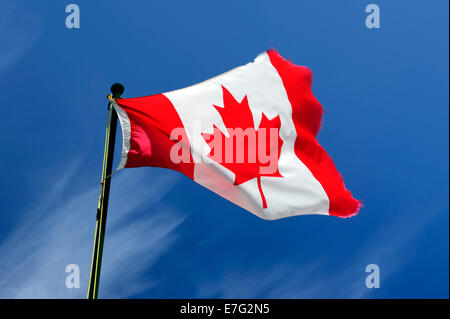 Kanadische Flagge im Wind vor blauem Himmel. Stockfoto