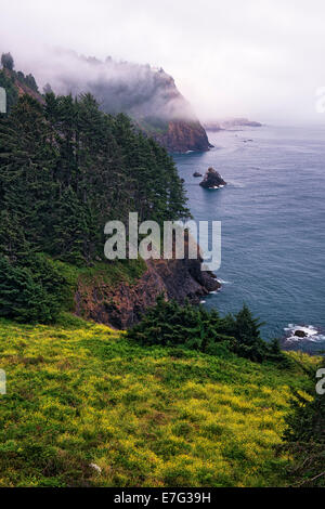 Sommer-Nebel lichtet Küste Oregons zentrale enthüllt die Otter Crest Zustand Aussichtspunkt und Cape Foulweather. Stockfoto