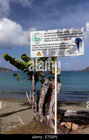 Warnschild am Strand, Warnung der portugiesischen Mann O'War (Physalia Physalis), die einen schmerzhaften Stich in das Meer liefert Stockfoto