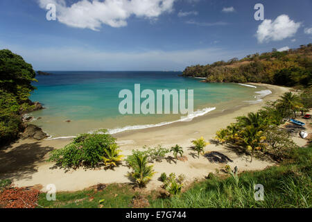Strand, Lagune, Bloody Bay, Trinidad und Tobago Stockfoto