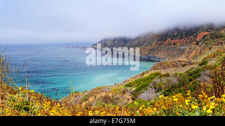 Pazifik-Küste in der Nähe von Landels-Hill Big Creek, Kalifornien, USA Stockfoto