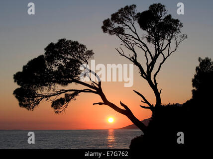 Sonnenuntergang an der Küste, Brela, Dalmatien, Kroatien Stockfoto