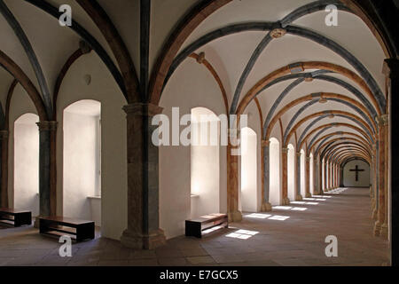 barocken Kreuzgang des ehemaligen kaiserlichen Abtei und Residenz von Corvey, Welt-Kulturerbe, Höxter, Nordrhein-Westfalen, Deutschland Stockfoto