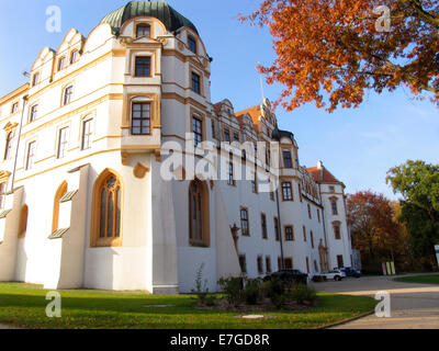 Schloss mit Parkanlage. Das großherzogliche Schloss, sicherlich die wichtigste Sehenswürdigkeit der Stadt, stammt aus dem 13. Jahrhundert. Im 14. Jahrhundert wurde die ehemalige Burg in eine fürstliche Residenz umgewandelt. Foto: Klaus Nowottnick Datum: 31.10.2011 Stockfoto