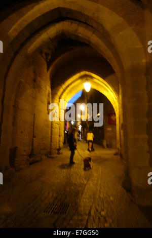 Französische Cité de Carcassonne mittelalterlichen Zitadelle bei Nacht Stockfoto