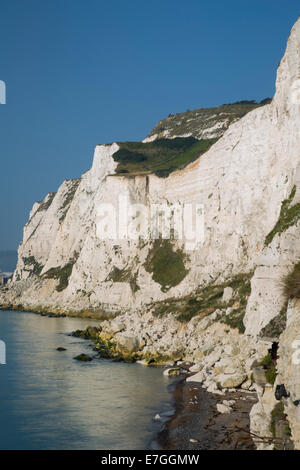 Nebligen Morgen über die weißen Klippen von Dover an Margarets Bay, Kent, England Stockfoto