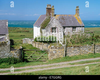 Plas Bach Bauernhaus mit der ursprünglichen Bardsey Apfelbaum wachsen die nach Süden ausgerichtete Wand, Bardsey Island, Wales Stockfoto