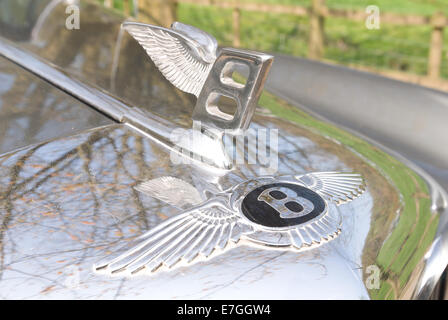 Geflügelte Bentley-Logo-Emblem und Metallabzeichen auf Motorhaube glänzendes Silber Auto vorne klassische Sammler Wahrzeichen Stockfoto