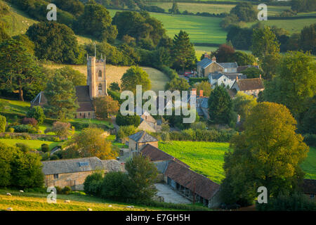 Abend-Sonne über Corton Denham, Somerset, England Stockfoto