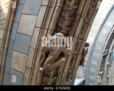 Stone monkey Skulpturen klettern die Bögen in der Natural History Museum, South Kensington, London, England Stockfoto