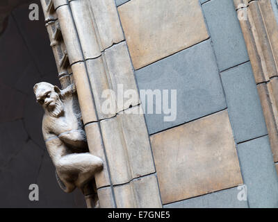 Stone monkey Skulpturen klettern die Bögen in der Natural History Museum, South Kensington, London, England Stockfoto