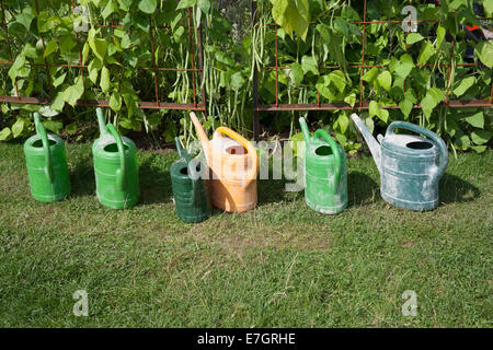 Garten mit einer Reihe von Gießdosen in Dürre, Hitzewelle, Klimawandel neben französischen Bohnen im Tatton Park 2014 Cheshire RHS Blumenshow - Dürre Stockfoto