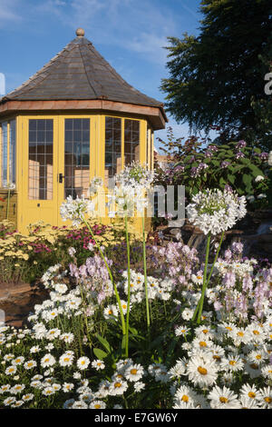 Garten - das Wasser Garten - Gartenhaus einpflanzen Agapanthus 'Queen Mum' Leucanthemum 'Lilac - Stockfoto