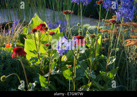 Garten - The Narrows - Echinacea ' Art es stolz 'Agapanthus' Headbourne Hybriden '' Achillea Terracotta - Desig Stockfoto