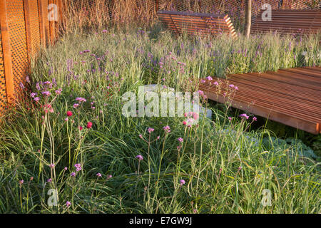Verbena bonariensis und Gräser in einem kleinen Garten Corten Stahlzaun - Holzdeckenbereich auf der Tatton Park RHS Blume Stockfoto