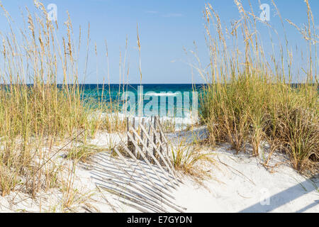 Düne Zaun und Sehafer in den Dünen am Strand von Pensacola, Florida am Gulf Islands National Seashore. Stockfoto