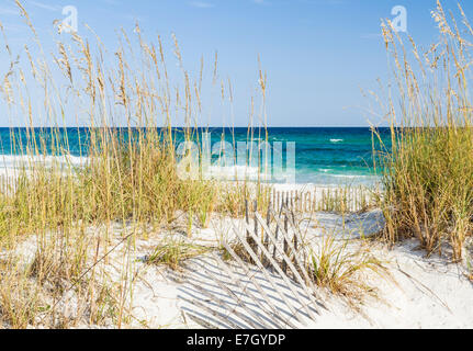 Düne Zaun und Sehafer in den Dünen am Strand von Pensacola, Florida am Gulf Islands National Seashore. Stockfoto