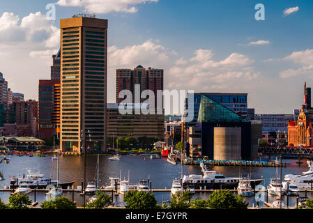 Blick auf den Inner Harbour und die Skyline von Federal Hill Park, Baltimore, Maryland. Stockfoto