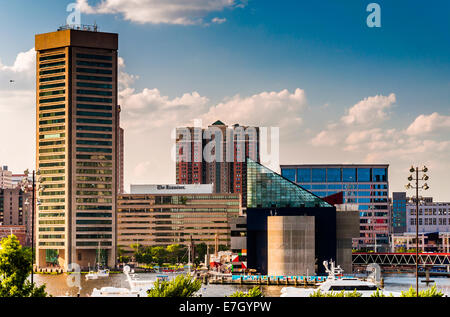 Blick auf die Skyline von Federal Hill in Baltimore, Maryland. Stockfoto