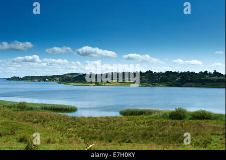 Landschaft bei Hjarbæk Fjord, Viborg, Dänemark Stockfoto