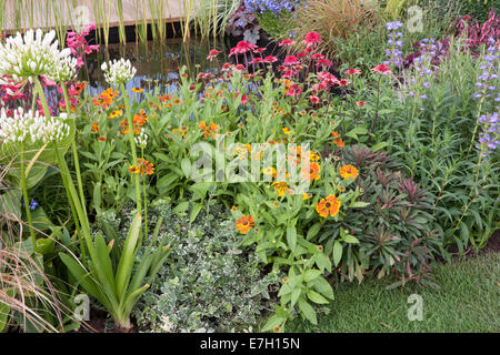 Garten - The Narrows - gemischten Beet einschließlich weiße Agapanthus ' Headbourne Hybriden '' Helenium 'Waltraut' Echin Stockfoto
