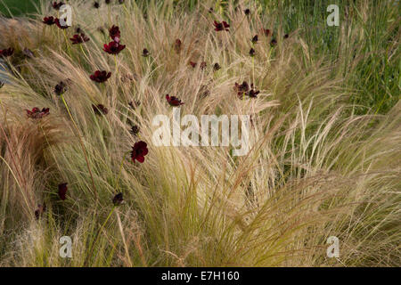 Garten - elementar - Ansicht des Log Wand- und Insekt Bug House Hotel - Designer - Ian Price Stockfoto