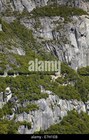 Big Oak Flat Straße entlang Cliffside absteigend ins Yosemite Valley, Yosemite-Nationalpark, Kalifornien, USA Stockfoto