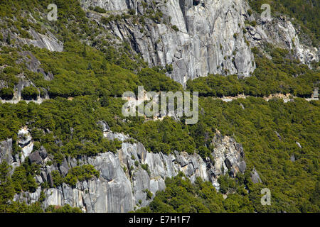 Big Oak Flat Straße entlang Cliffside absteigend ins Yosemite Valley, Yosemite-Nationalpark, Kalifornien, USA Stockfoto