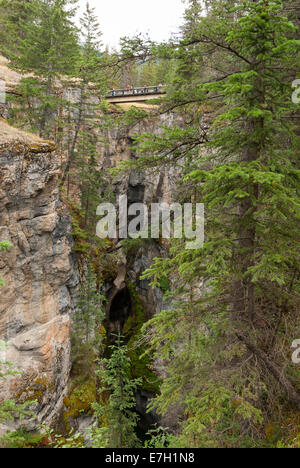 Elk203-7053v Kanada, Alberta, Jasper Nationalpark, Maligne Canyon Stockfoto