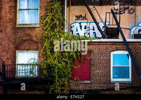 Close-up Anzeigen der alten Gebäude in der Innenstadt von Baltimore, Maryland. Stockfoto