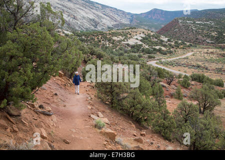 Jensen, Utah - Susan Newell, 65, Wanderungen im Dinosaur National Monument. Stockfoto