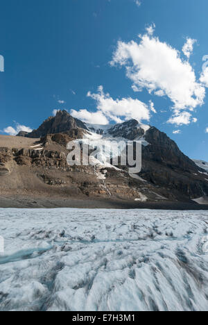 Elk203-7446v Kanada, Alberta, Jasper Nationalpark, Columbia Icefield, Athabasca Gletscher Stockfoto