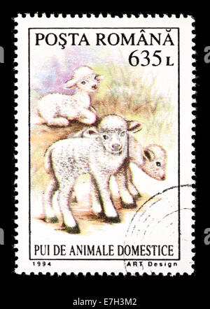 Briefmarke aus Rumänien Darstellung Lämmer. Stockfoto