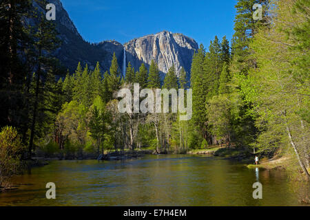 Touristen, die gerne an den Yosemite Falls, aus neben Merced River, Yosemite Tal, Yosemite-Nationalpark, Kalifornien, USA Stockfoto