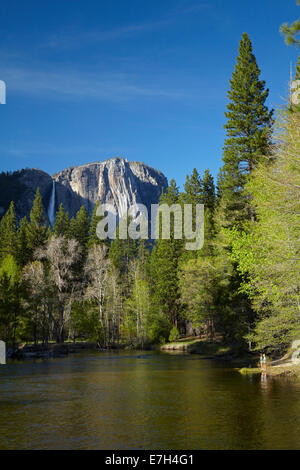 Touristen, die Yosemite Falls, aus neben Merced River, Yosemite Tal, Yosemite-Nationalpark, Kalifornien, USA Stockfoto