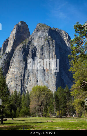 Cathedral Rocks und Maultierhirsch (Odocoileus Hemionus), Yosemite Tal, Yosemite-Nationalpark, Kalifornien, USA Stockfoto