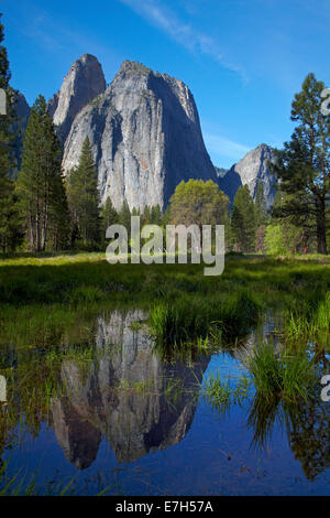 Cathedral Rocks spiegelt sich in einem Teich im Yosemite Valley, Yosemite-Nationalpark, Kalifornien, USA Stockfoto