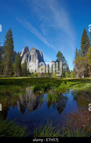 Cathedral Rocks spiegelt sich in einem Teich im Yosemite Valley, Yosemite-Nationalpark, Kalifornien, USA Stockfoto